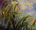Iris Amarillos Claude Monet Impresionismo Flores